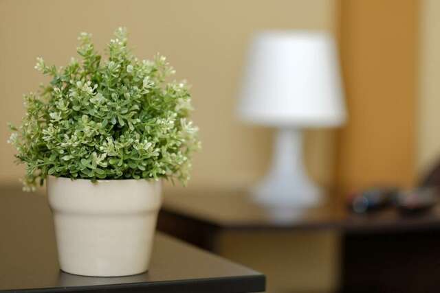 Гостиница Оазис Томск-13