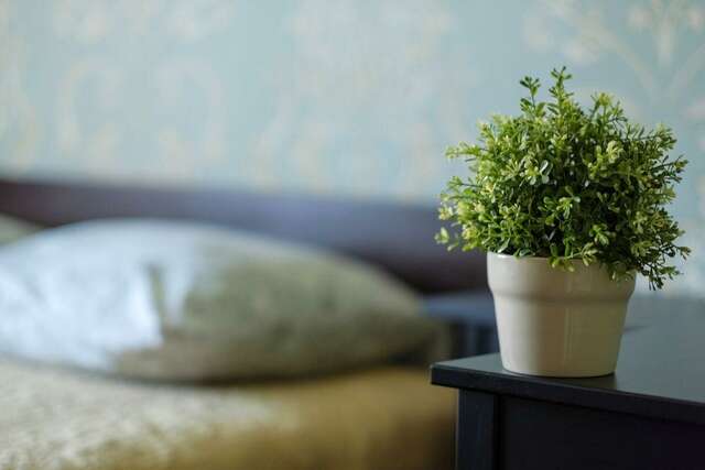 Гостиница Оазис Томск-83