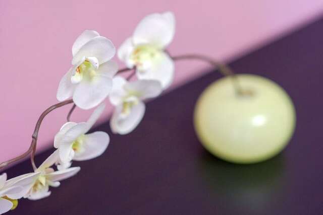 Гостиница Оазис Томск-62